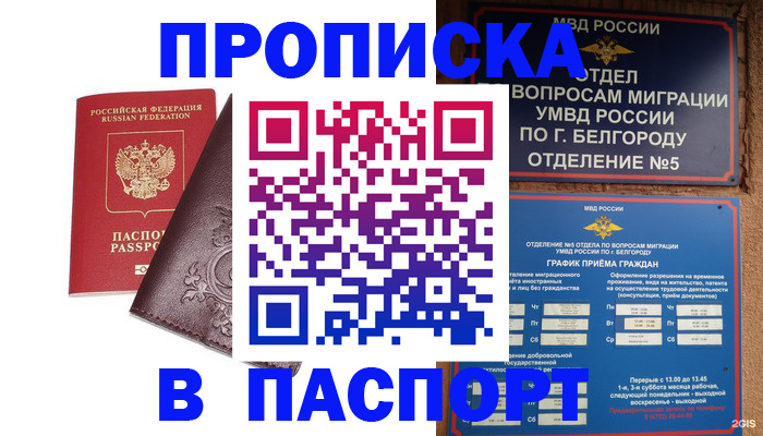 прописка поиск в Новочебоксарске